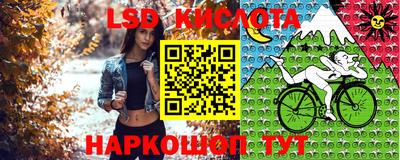 шишки Гатчина