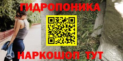 шишки Гатчина