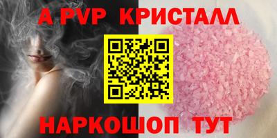 эйфоретик Гай