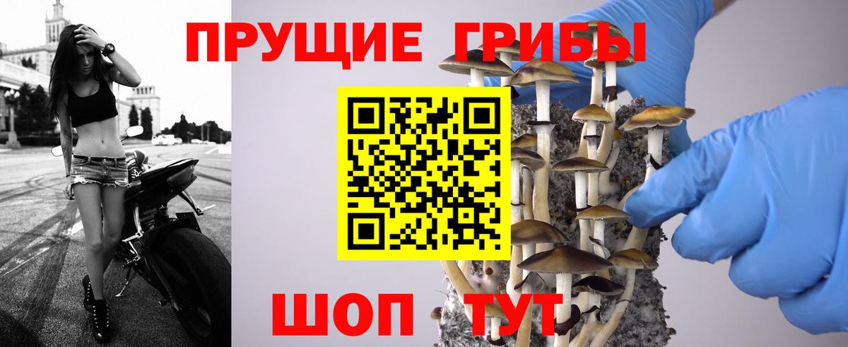 Псилоцибиновые грибы ЛСД  Вход с VPN  Минеральные Воды 