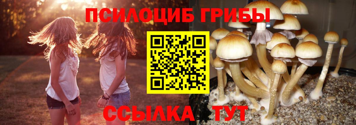 Псилоцибиновые грибы мухоморы Минеральные Воды